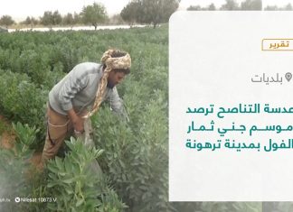 تشهد مدينة #ترهونة هذه الأيام موسم جني ثمار الفول وبمنطقة القصيعة والتي يعد الفول من أبرز المحاصيل التي تنتجها وبالرغم من الصعوبات التي يواجهها المزارعون ولكنهم مستمرون بأقل الإمكانيات