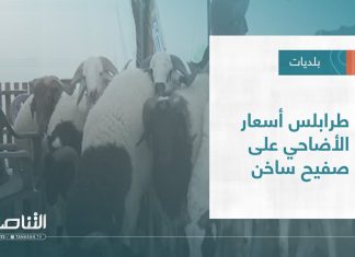 تقرير – بلديات | طرابلس أسعار الأضاحي على صفيح ساخن | 6 – 07 – 2022