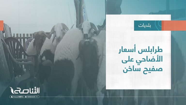 تقرير – بلديات | طرابلس أسعار الأضاحي على صفيح ساخن | 6 – 07 – 2022