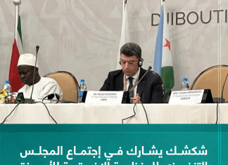 شكشك يشارك في إجتماع المجلس التنفيذي للمنظمة الإفريقية للأجهزة العليا للرقابة المالية والمحاسبة