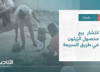 تقرير – بلديات | انتشار بيع محصول الزيتون في طريق السبيعة