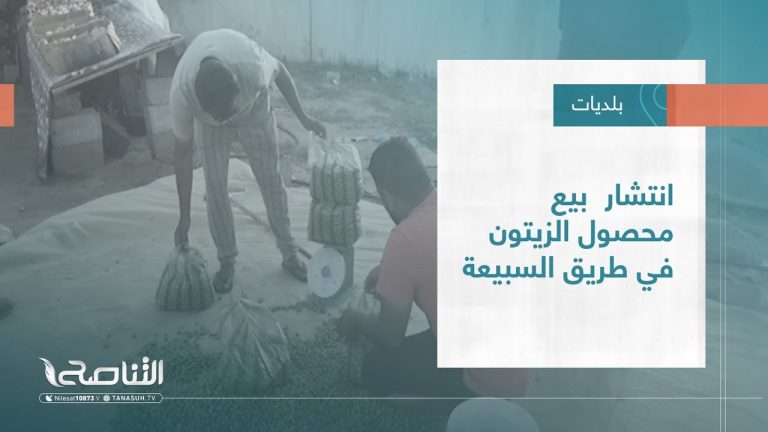 تقرير – بلديات | انتشار بيع محصول الزيتون في طريق السبيعة