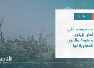 تقرير – بلديات | بدء موسم جني ثمار الزيتون بترهونة والقرى المجاورة لها | 7 – 12 – 2022