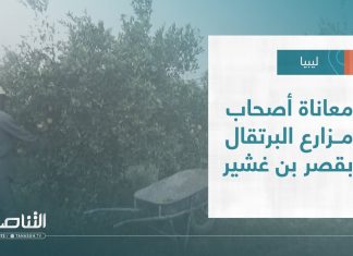 تقرير – بلديات | معاناة أصحاب مزارع البرتقال بقصر بن غشير | 01 – 2 – 2023