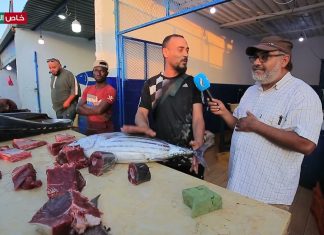جولة كاميرا التناصح من داخل النادي البحري سوق الجمعة ورصد لأسعار السمك وإقبال المواطنين على شراء أسماك التونة