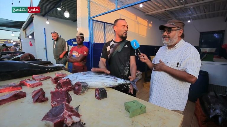 جولة كاميرا التناصح من داخل النادي البحري سوق الجمعة ورصد لأسعار السمك وإقبال المواطنين على شراء أسماك التونة