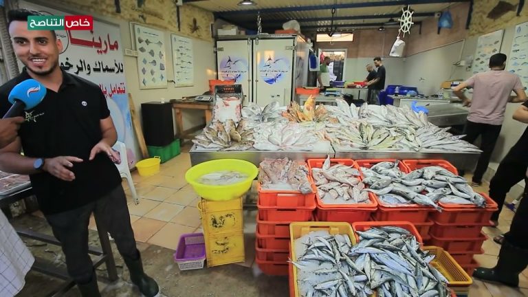 موسم التونة، وأنواع الأسماك في الساحل الليبي، وأبرز التحديات والمشاكل التي تواجه صيادي الأسماك، ترصدها كاميرا التناصح في مقابلة مع أحد بائعي السمك من داخل النادي البحري بسوق الجمعة.