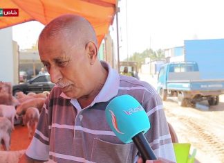 ارتفاع الأسعار يسرق فرحة العيد.. شكوى مواطن يناشد تدخل الدولة بوضع حل لغلاء أسعار الأضاحي هذا العام.