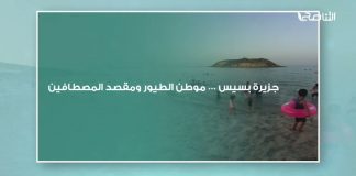 جزيرة بسيس … موطن الطيور ومقصد المصطفِّين
