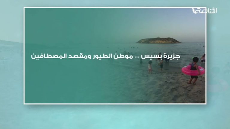 جزيرة بسيس … موطن الطيور ومقصد المصطفِّين