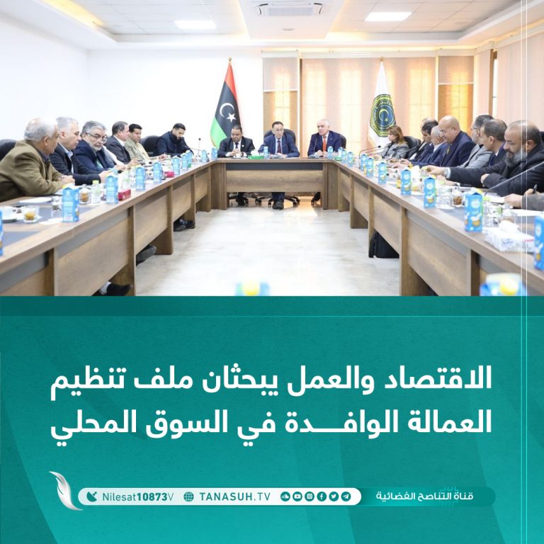 الاقتصاد والعمل يبحثان ملف تنظيم العمالة الوافدة في السوق المحلي