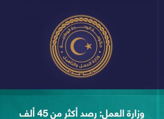 وزارة العمل رصد أكثر من 45 ألف ازدواج وظيفي خلال 2023م