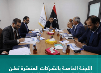 اللجنة الخاصة بالشركات المتعثرة تعلن التوصل إلى حلول نهائية للملف