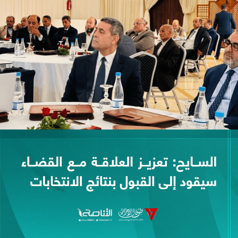 السايح: تعزيز العلاقة مع القضاء سيقود إلى القبول بنتائج الانتخابات