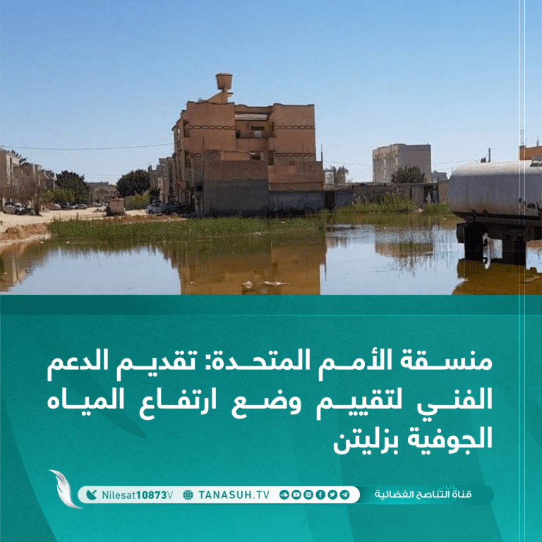 منسقة الأمم المتحدة: تقديم الدعم الفني لتقييم وضع ارتفاع المياه الجوفية بزليتن