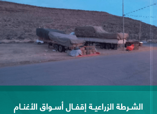 الشرطة الزراعية إقفال أسواق الأغنام في ترهونة للحد من الحمى القلاعية