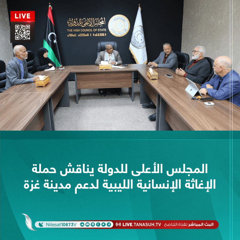 المجلس الأعلى للدولة يناقش حملة الإغاثة الإنسانية الليبية لدعم مدينة غزة