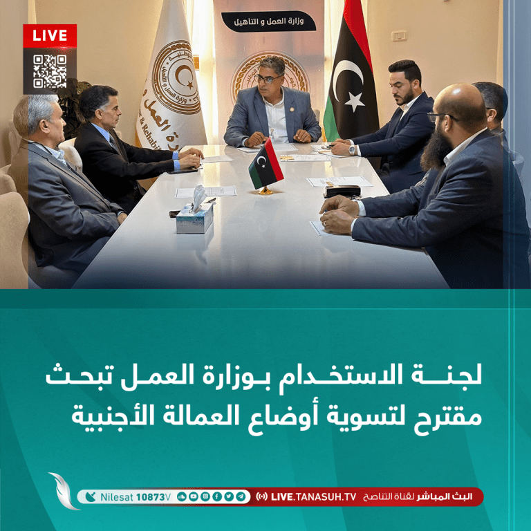 لجنة الاستخدام بوزارة العمل تبحث مقترح لتسوية أوضاع العمالة الأجنبية