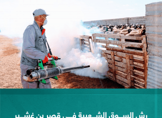 رش السوق الشعبية في قصر بن غشير بالمبيدات