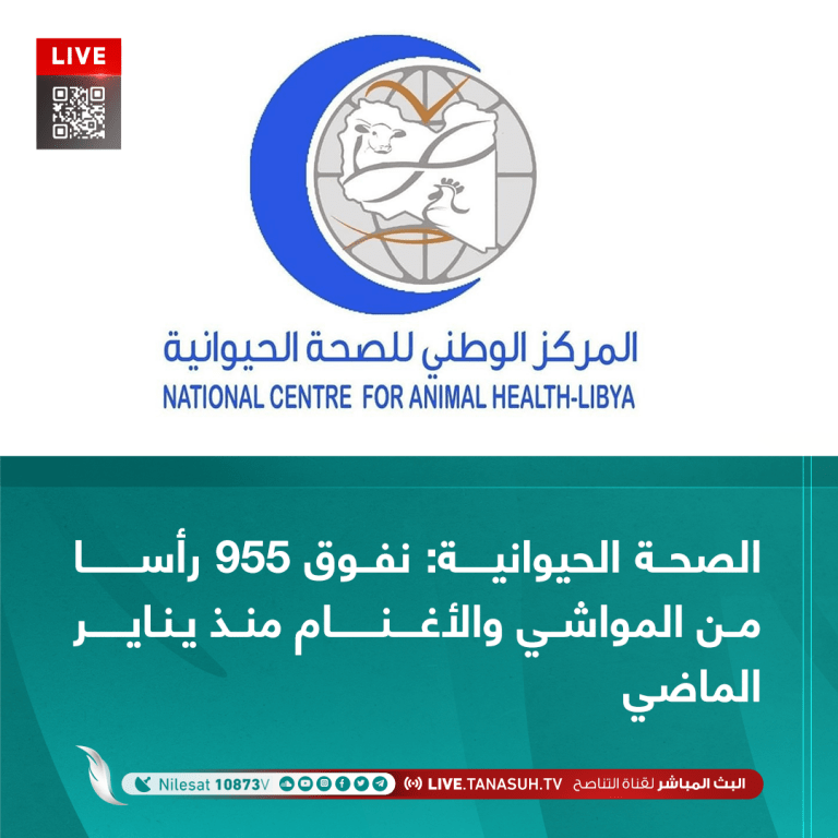 الصحة الحيوانية: نفوق 955 رأسا من المواشي والأغنام منذ يناير الماضي