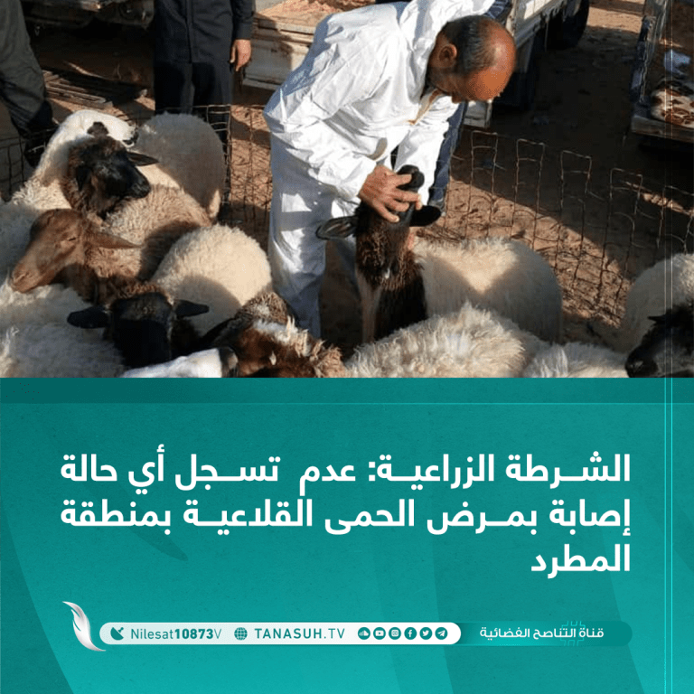 الشرطة الزراعية: عدم تسجل أي حالة إصابة بمرض الحمى القلاعية بمنطقة المطرد