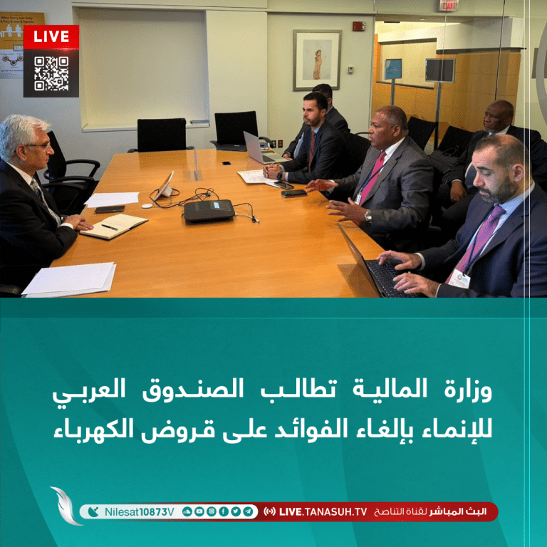 وزارة المالية تطالب الصندوق العربي للإنماء بإلغاء الفوائد على قروض الكهرباء