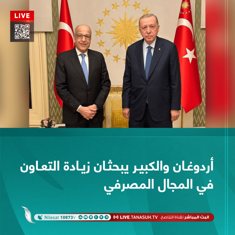 أردوغان والكبير يبحثان زيادة التعاون في المجال المصرفي