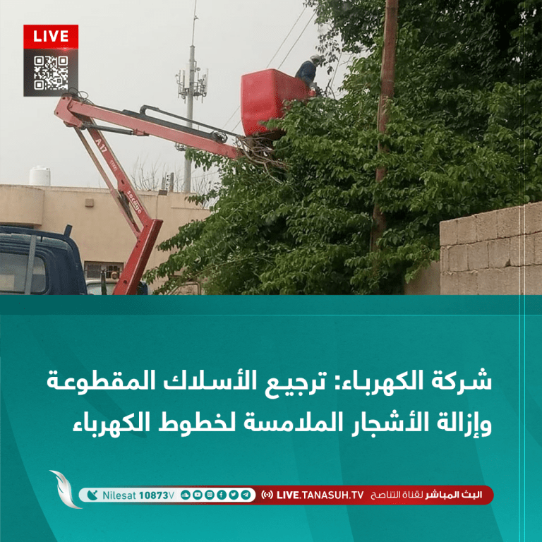 شركة الكهرباء: ترجيع الأسلاك المقطوعة وإزالة الأشجار الملامسة لخطوط الكهرباء