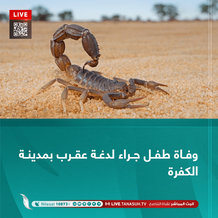 وفاة طفل جراء لدغة عقرب بمدينة الكفرة
