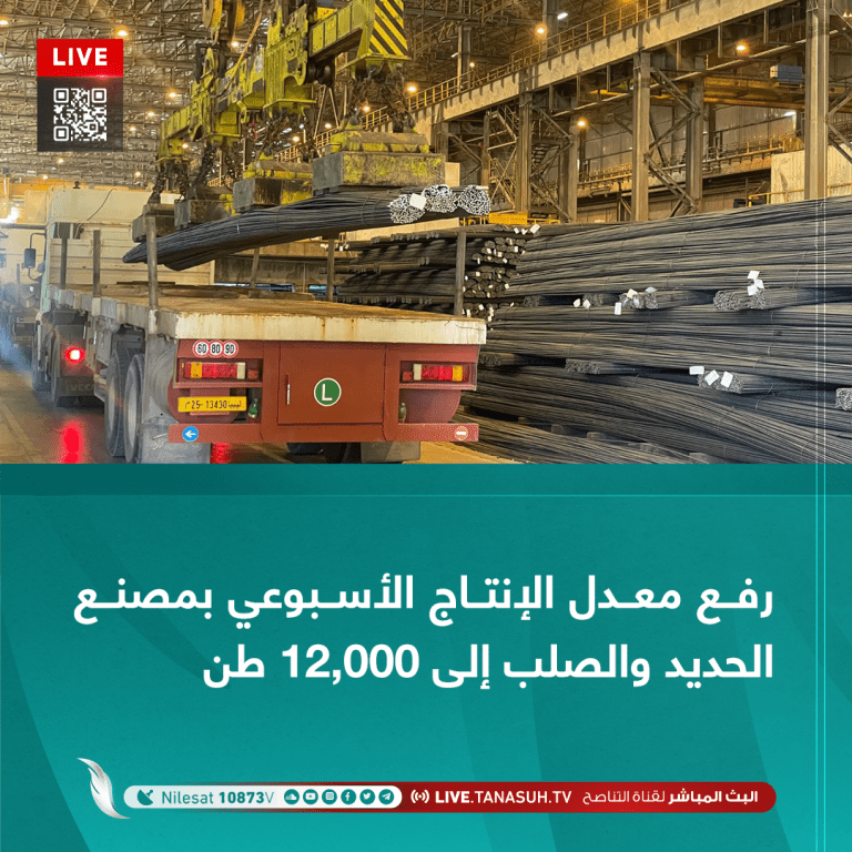 رفع معدل الإنتاج الأسبوعي بمصنع الحديد والصلب إلى 12,000 طن