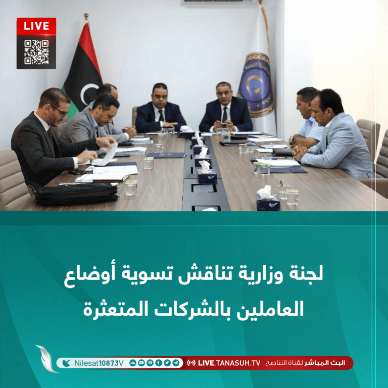 لجنة وزارية تناقش تسوية أوضاع العاملين بالشركات المتعثرة