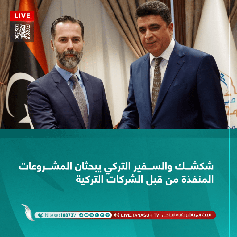 شكشك والسفير التركي يبحثان المشروعات المنفذة من قبل الشركات التركية