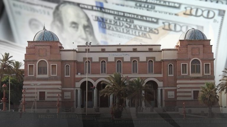 انخفاض استخدام النقد الأجنبي 13% في مايو.. والمركزي يدفع فاتورة الوقود لأوّل مرة