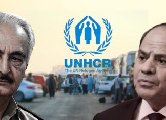 مفوضية الأمم المتحدة لحقوق الإنسان تدعو مصر وليبيا إلى محاسبة المتورطين في استخدام القوة ضد نشطاء “قافلة الصمود”