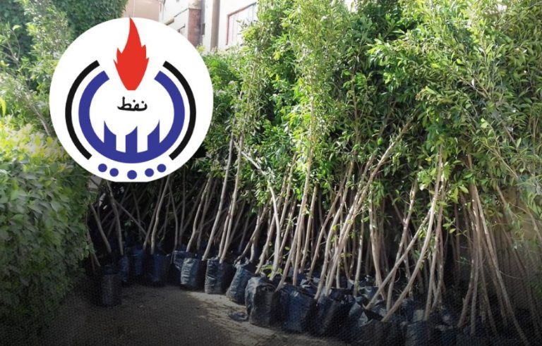 المؤسسة الوطنية للنفط تطلق المرحلة الثالثة من مبادرة “مليون شجرة”