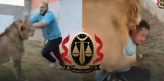 الحكم بالسجن 14 سنة على شخص يستخدم أسدا في تخويف الناس