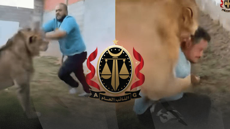 الحكم بالسجن 14 سنة على شخص يستخدم أسدا في تخويف الناس