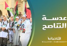 عدسةالتناصح: الوقفة (91) بميدان أبو شوشة نصرة لأهلنا في غزة