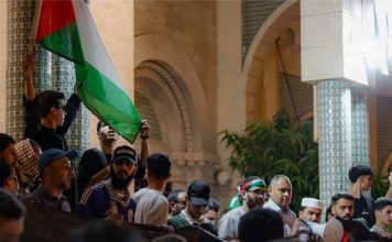 الكيان يختطف أكثر من 400 ناشط من 47 دولة بينها ليبيا.. ودعوات إلى وقفات عالمية غدًا الجمعة