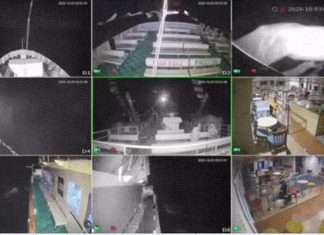 انطلق أسطول جديد من 11 سفينة، بينها «سفينة الضمير»، باتجاه غــ..زة بعد اختطاف قوات الاحـ..تلال أسطول «الصمود العالمي» الذي ضم نحو 500 ناشط من أكثر من 45 دولة.